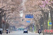 博白共建“花园城市” 北京这场议政会“百花齐放”