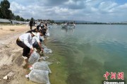 博白云南江川举行增殖放流活动 逾54万尾鱼游入星云湖